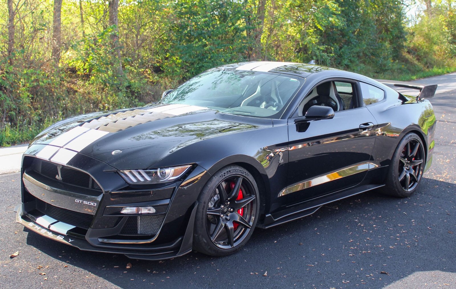 2022 Ford Mustang Shelby GT500